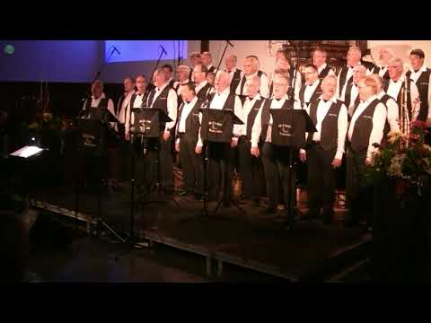 WESTERSTÖRM en TÖRF Jubileumsconcert (2011)