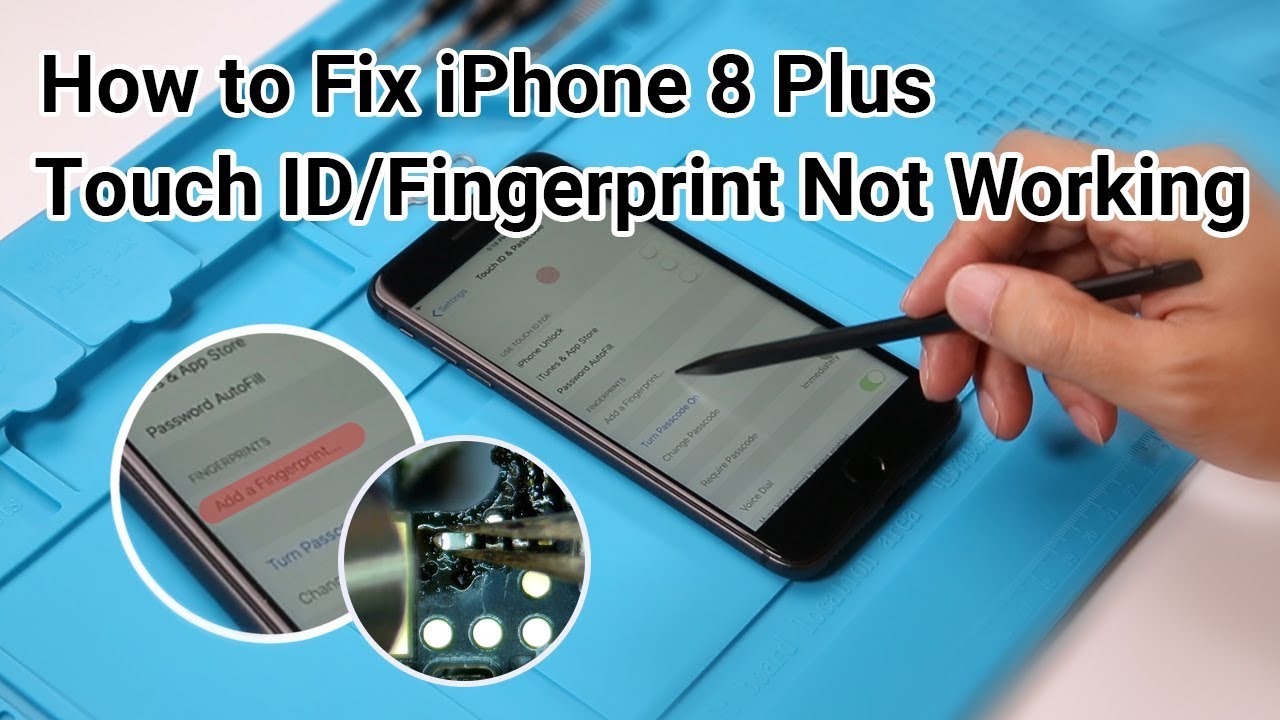 How To Fix Iphone 8 Plus Touch Id Fingerprint Not Working Youtube