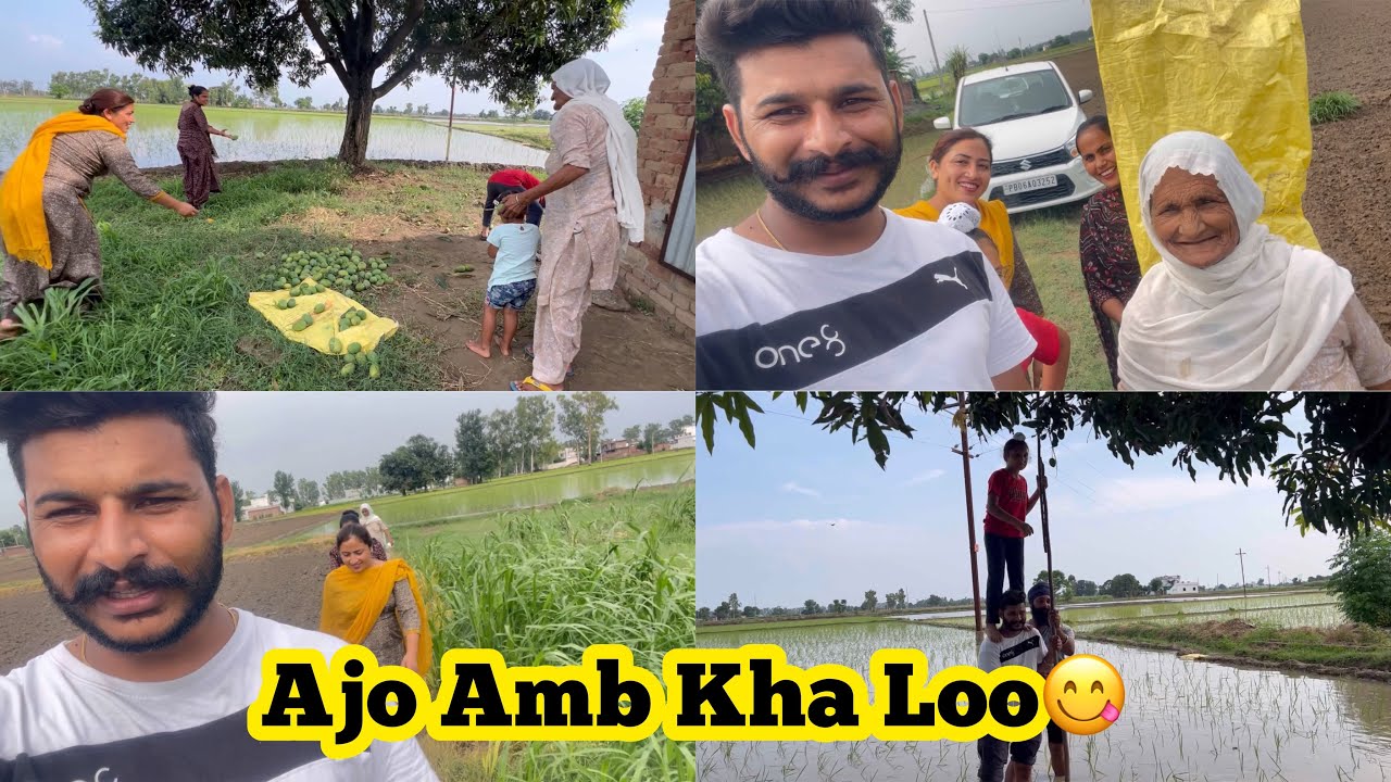 Aji Asi Sare Gae Mere Nanke Amb Toran Achar Waste, Mere Nana Ji De Hatha Da Laga Butta 😊