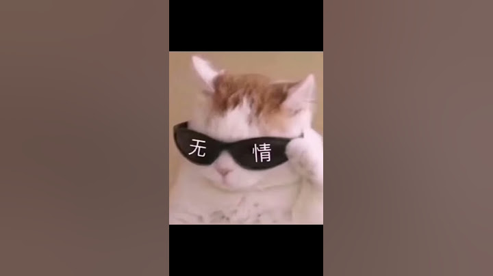 终究还是一个人扛下了所有
