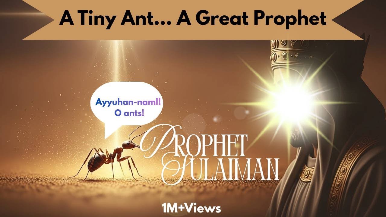 Ants: A Lesson 📜 in Islamic Unity : subhanallah ❤️