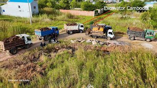 Wonderful Project Building New Road By Miniature Trucks Unloading Dirt And Bulldozer Pushing Dirt