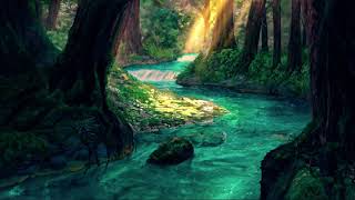 1 Minute Of Forest River 1440p screenshot 3