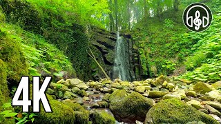 Расслабляющий Звук Водопада. Белый Шум Падающий Воды Для Сна Длительностью 10 Часов.