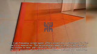 Durable Polyurethane Fine Mesh Screen Deck Panels for Sand and Coal