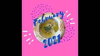 Feb 2021 Episode - Passing on the Torch