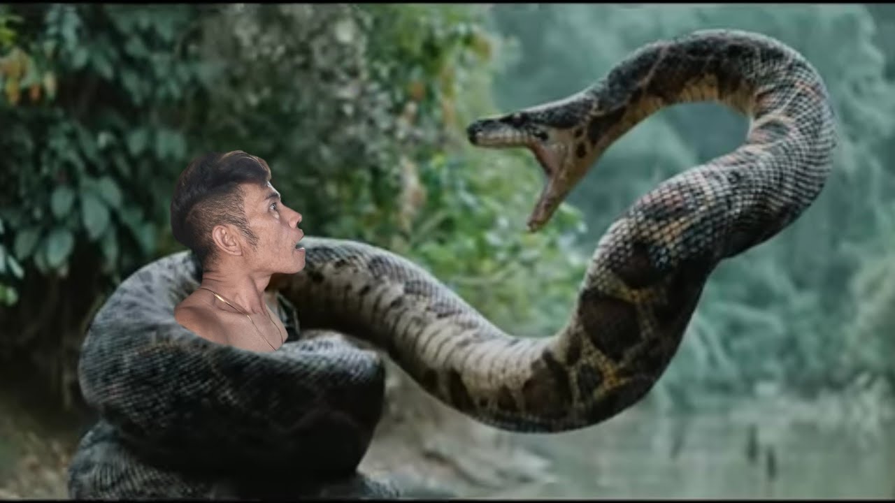 Big python attack the man in the forest || anaconda attack the man ...