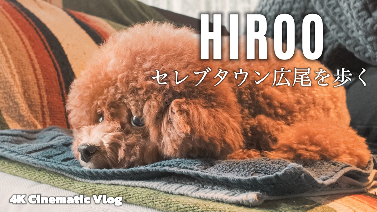 広尾｜愛犬と巡る最高の散歩ルート｜30代 独身男性 × トイプードル いなり【4K Cinematic Vlog】