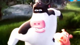 Barnyard Hill Surfing