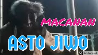 Pagelaran pencak silat dan atraksi macanan