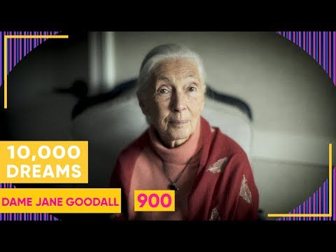 10,000 Dreams | 900 | Dame Jane Goodall