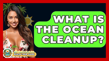 What Is The Ocean Cleanup? - Beach Tour Guide