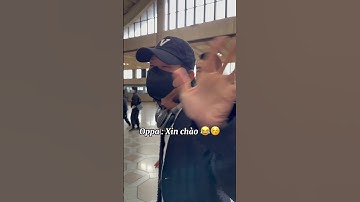 Rina dạy Idol Hàn Quốc nói tiếng Việt và cái kết😂 #rinavaseoul #tiktok #kpop #duhocsinhhanquoc