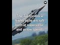 Eurofighter Typhoon FACTS #dcs #didyouknow #heatblur #eurofightertyphoon #truegrit
