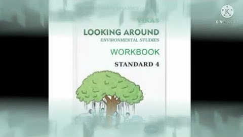 Std-4/Evs/Ch-9 Changing Families/Workbook solution