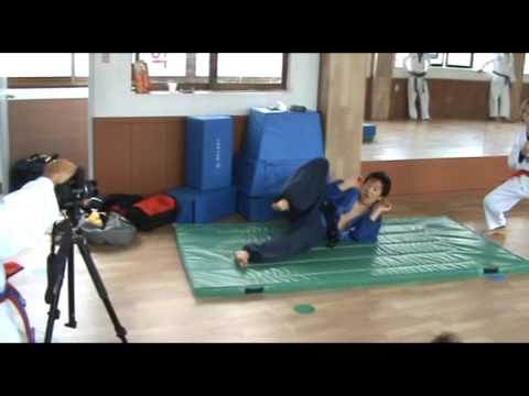 Korean Taekwondo Hapkido Acrobatics- with a bump at the end!