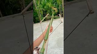 Bamboo Creations With Arrow