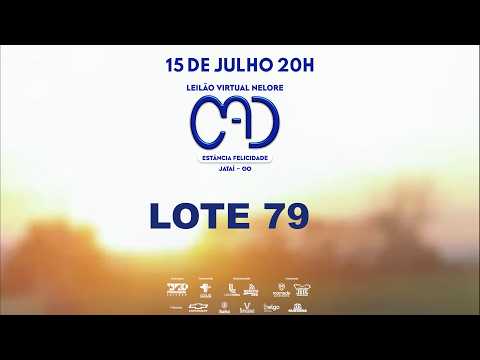 LOTE 79