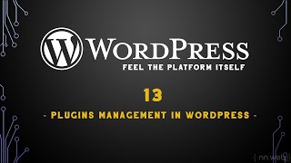 13 Episode - How to Install Plugins in WordPress