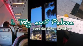 1. Tag auf Palma || Auslandspraktikum || +Hotelroom-Tour