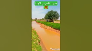 هاوي الخرجات الصحراويةق2 🥰🥰 صوت وسحر القارئ الشيخ محمد الليثي رحمه الله ❤️💚 ما شاء الله 🎧📖 صوت جنوني