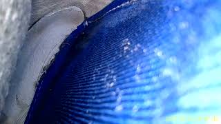 Inside Jordans Size 3.5 Keds Leather Sneaker With Borescope