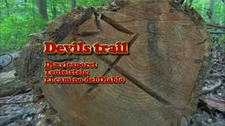 Devils trail the movie