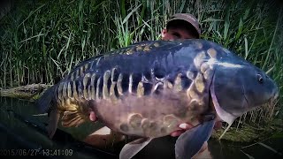 Film pêche à la carpe 2015 - Session plan d'eau 20 hectares dans la Marne