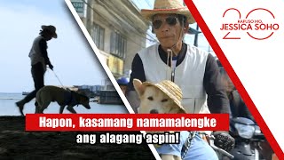 Download Lagu Hapon, kasamang namamalengke ang alagang aspin! | Kapuso Mo, Jessica Soho MP3 Download Lagu Hapon, kasamang namamalengke ang alagang aspin! | Kapuso Mo, Jessica Soho MP3