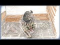 【公式動画】大森裕子最新作『せかいは すきで あふれてる』