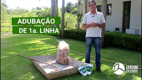 Qual o melhor adubo para gramado?