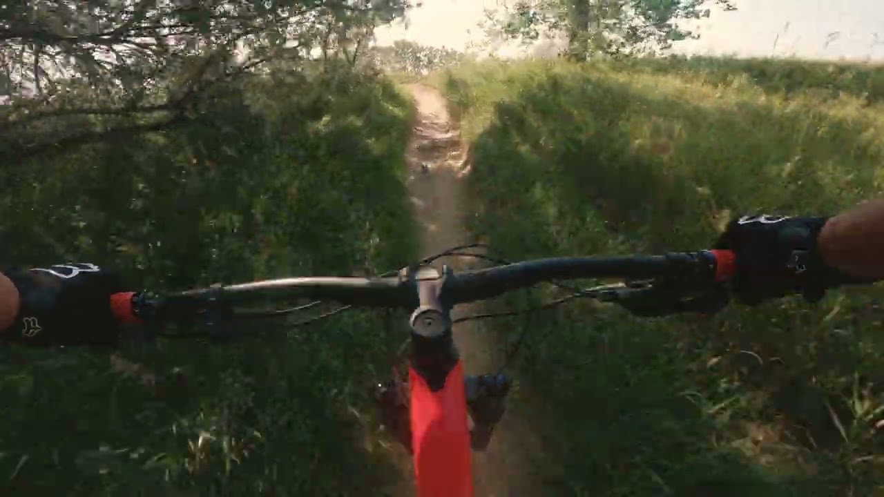 Tranquility Park Highlights