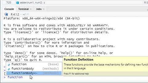 R Functions as Objects