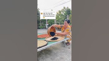 Bột ngũ cốc uống thơm ngon, dùng chung với đường hoặc sữa đặc đều được #baut #botngucoc