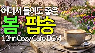 Spring Cafe Music for Any Time, Anywhere – 12hr Cafe BGM [96]