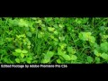 Xiaomi mi4i camera quality(RAW and Edited Footage)