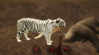 Ultimate Tiger Simulator 2 (Gameplay 3) by Linda The Wølfie XD18 2,302 views 1 year ago 9 minutes, 37 seconds