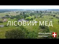 Волинський лісовий мед