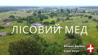 Волинський лісовий мед