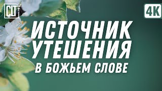 Животворящая Сила Бога бесконечна и для Бога нет ничего невозможного | Смотри тайм-коды | Relaxing