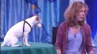 Dog Does Math LEGIT