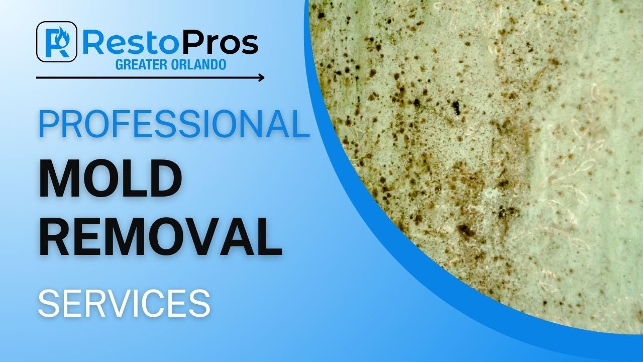 Greater Orlando Mold Removal | RestoPros of Greater Orlando