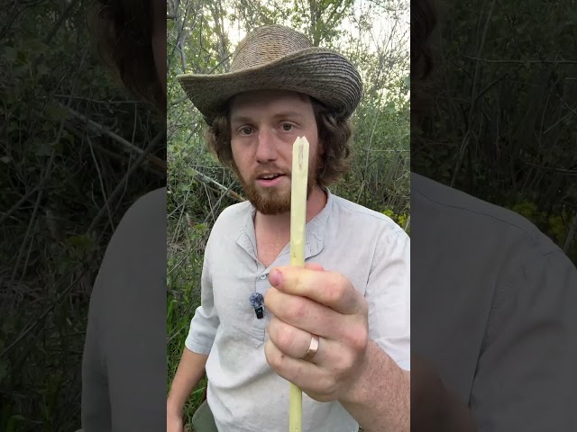 Survival Fishing Arrow #survival #bushcraft #camping #howto #fishing #bowfishing class=