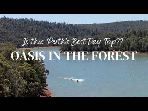 The Ultimate Day Trip From Perth, Waroona Dam. Exploring the Peel Region.