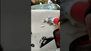 Detailing Car emblem /Car Logo/ Car Detailing brush /Spray Botel /Honda City