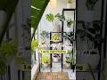 #balcony #balconydecorideas #balconymakeover #amazonfinds #plants #plantstand #homefinds #shorts
