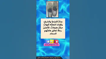 حداء الكرامة الشرف 