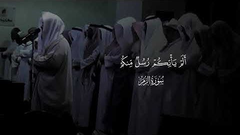 يتعافى المَرء كُلّما هَجر ذنباً 🍂 تلاوة خاشعة من سورة الزمر 🌿