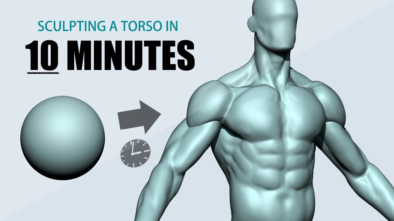 how to get make a torso in zbrush