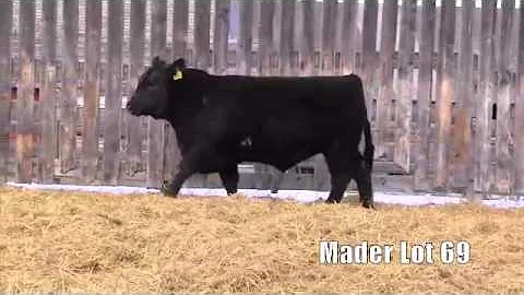 Mader Lot 69